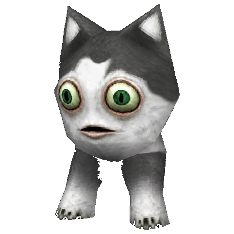 npcat standing in the dark exactly where it was placed